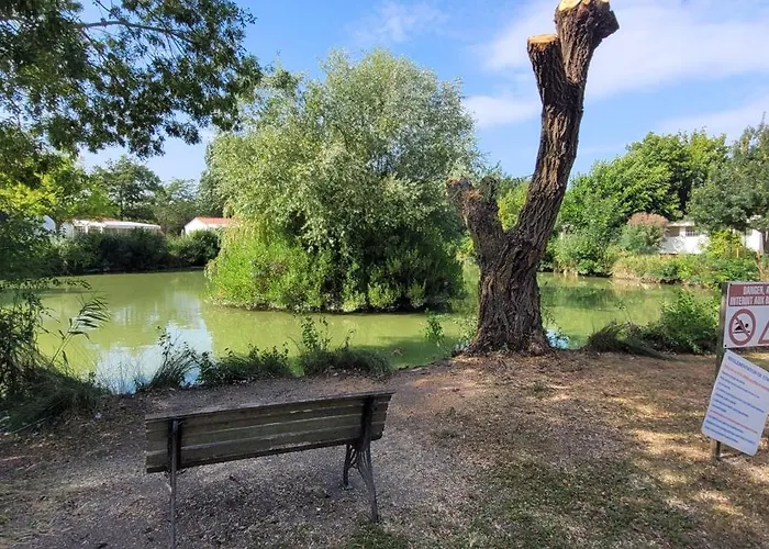 Dans Parc Résidentiel Privé Avec Wifi, Piscine Saint-Pierre-d'Oleron